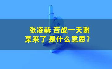 张凌赫 苦战一天谢某来了 是什么意思？